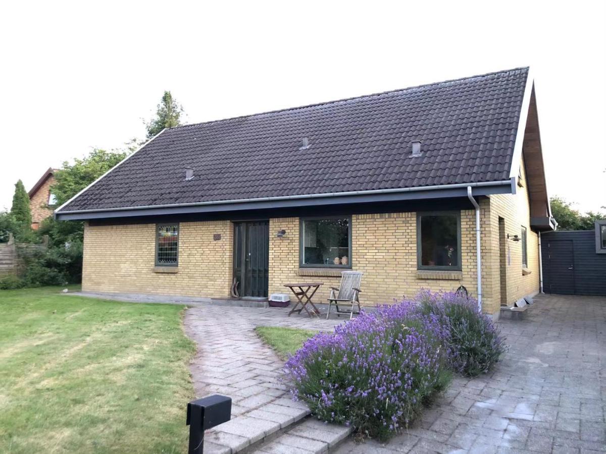 Quiet Villa Apartment Close To Everything Odense Exterior photo